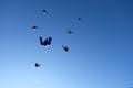 Formation skydiving. Skydivers are doing a figure in the sky.