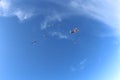 Formation skydiving. Skydivers are falling without suits.