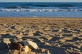 Formation of stones on the beach during the sunrise with blurred sea in the background Royalty Free Stock Photo