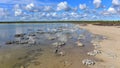 Formation of stromatolites in Lake Thetis Royalty Free Stock Photo