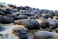 The beauty of Taiwan`s north coast is an eroded coast with large undulations