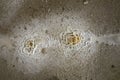 formations of calcium hydroxide on the concrete floor of an abandoned warehouse Royalty Free Stock Photo