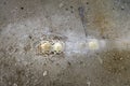 formations of calcium hydroxide on the concrete floor of an abandoned warehouse Royalty Free Stock Photo