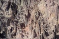 Formations made by rainwater on sandy rocks