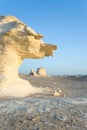 Formations in the white desert