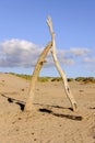 Formby Royalty Free Stock Photo