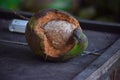 Formed of a coconut shell, rotten coconut Royalty Free Stock Photo