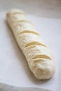 Formed yeast dough for long loaf bread with scores