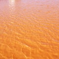 Formentera Ses Salines saltworks red water Royalty Free Stock Photo