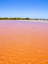 Formentera Ses Salines saltworks red water Royalty Free Stock Photo