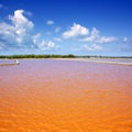 Formentera Ses Salines saltworks red water Royalty Free Stock Photo