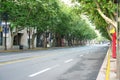 The former French concession with Platanus trees near Huaihai Road in the morning in Shanghai,