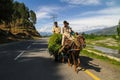 Former labors are Going back to theirs home from Fields in Swat Valley Pakistan.