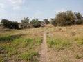 Former land in summer season its totally dry beacuse of its water problem Royalty Free Stock Photo