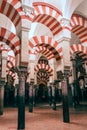 Former mosque situated in the Andalusian city of Codoba, Spain