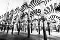 Former mosque situated in the Andalusian city of Codoba, Spain