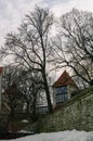 The Former Prison Tower Neitsitorn In Old Tallinn. Medieval Maiden Tower At Winter. Tallinn, Estonia