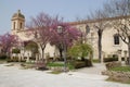 former san vincenzo ferreri church - ragusa - italy