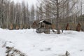 Former tourist camp in the countryside with a wooden dwelling