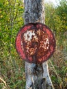 Old rusted prohibition sign on tree in German forest