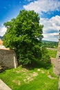 Former water trench in Cerveny Kamen castle