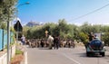 Formia, Italy - On the road to Castellonorato the flock of goats occupies the whole road Royalty Free Stock Photo