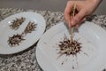 Forming sweet chocolate decorations - closeup