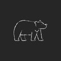 Formosan bear chalk white icon on dark background