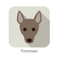 Formosan dog face flat icon, dog series