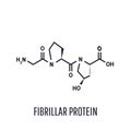 Formula of chemical structure. Collagen is a fibrillar protein that forms the basis of the connective tissue of the