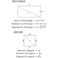 Formula of Rectangle and Square