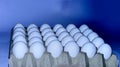 Formwork full of white eggs on a blue background Royalty Free Stock Photo