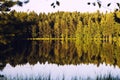 Forrest lake with reflection Royalty Free Stock Photo