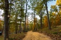 Forest path in the Ozarks mountains of Missouri Royalty Free Stock Photo