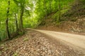 Forrest path at Uracher WasserfÃÂ¤lle, Bad Urach, Germany Royalty Free Stock Photo