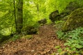 Forrest path at Uracher WasserfÃÂ¤lle, Bad Urach, Germany Royalty Free Stock Photo