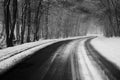 Forrest road winding in winter Royalty Free Stock Photo