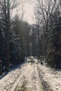 Forrest track through the forrest of St. Poelten in winter season Royalty Free Stock Photo