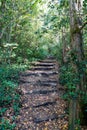 Forrest Trail stairs pathway access in nature Royalty Free Stock Photo