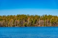 Forrested island on lake malaren near Stockholm, Sweden