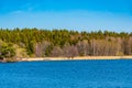 Forrested island on lake malaren near Stockholm, Sweden Royalty Free Stock Photo