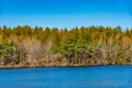 Forrested island on lake malaren near Stockholm, Sweden Royalty Free Stock Photo