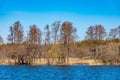 Forrested island on lake malaren near Stockholm, Sweden Royalty Free Stock Photo