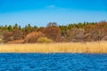 Forrested island on lake malaren near Stockholm, Sweden Royalty Free Stock Photo