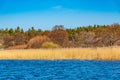 Forrested island on lake malaren near Stockholm, Sweden