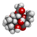 Forskolin coleonol molecule. Activates the enzyme adenylyl cyclase, resulting in increased levels of cAMP. 3D rendering. Atoms.