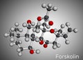 Forskolin, coleonol molecule. It is anti-HIV agent, labdane diterpene, is found in the Indian Coleus plant. Molecular model. 3D Royalty Free Stock Photo