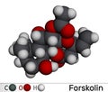 Forskolin, coleonol molecule. It is anti-HIV agent, labdane diterpene, is found in the Indian Coleus plant. Molecular model. 3D Royalty Free Stock Photo