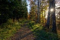Forest path on a sunny autumn afternoon with sun star Royalty Free Stock Photo