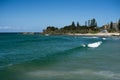 Forster wave view